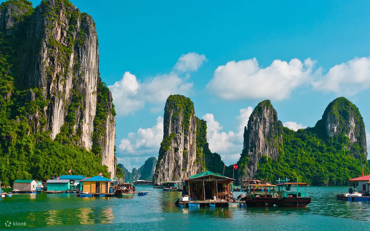 Halong day trip vietnam real tours